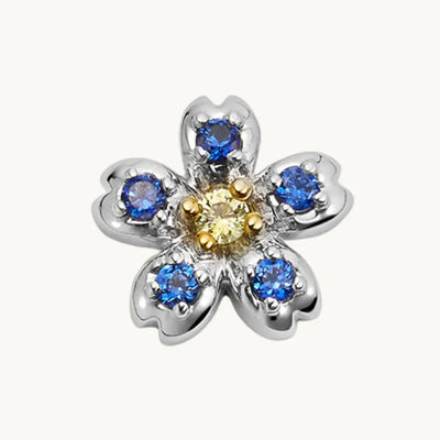 Blue and yellow flower