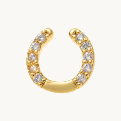 Horseshoe with stones