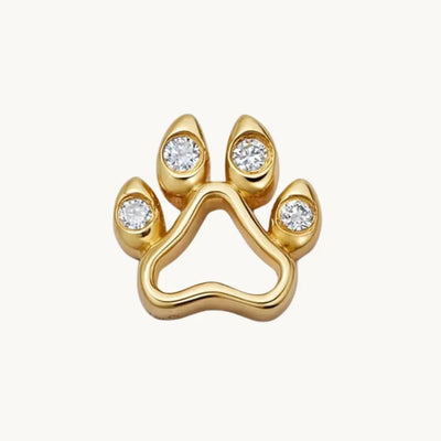Dog footprint