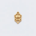 The Weaver Spider Charm